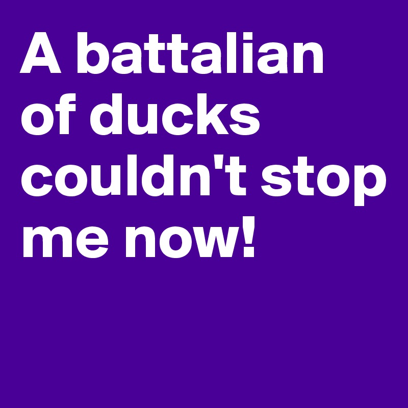 A battalian of ducks couldn't stop me now! 
