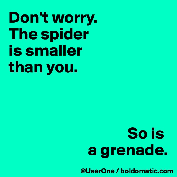 Don't worry.
The spider
is smaller
than you.



                                    So is
                        a grenade.