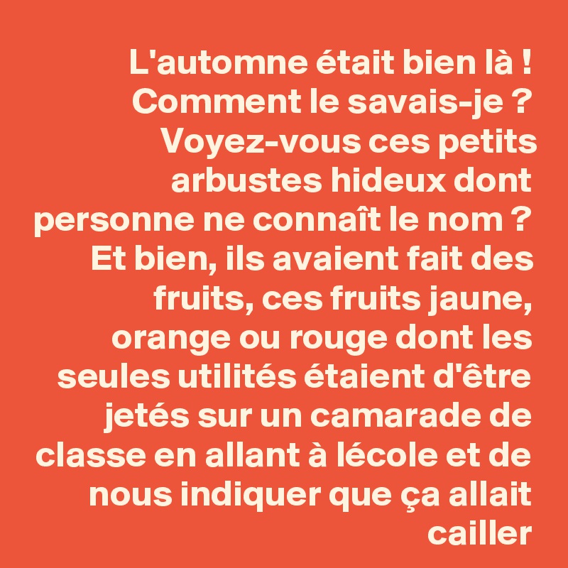 L'automne était bien là ! Comment le savais-je ? Voyez-vous ces petits arbustes hideux dont personne ne connaît le nom ? Et bien, ils avaient fait des fruits, ces fruits jaune, orange ou rouge dont les seules utilités étaient d'être jetés sur un camarade de classe en allant à lécole et de nous indiquer que ça allait cailler