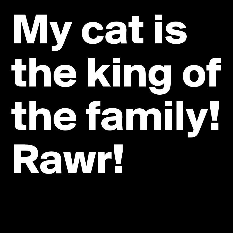 My cat is the king of the family! Rawr!