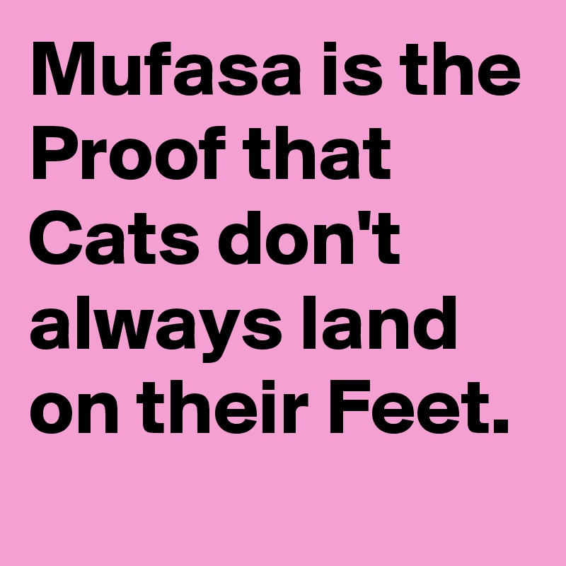 Mufasa is the Proof that Cats don't always land on their Feet.