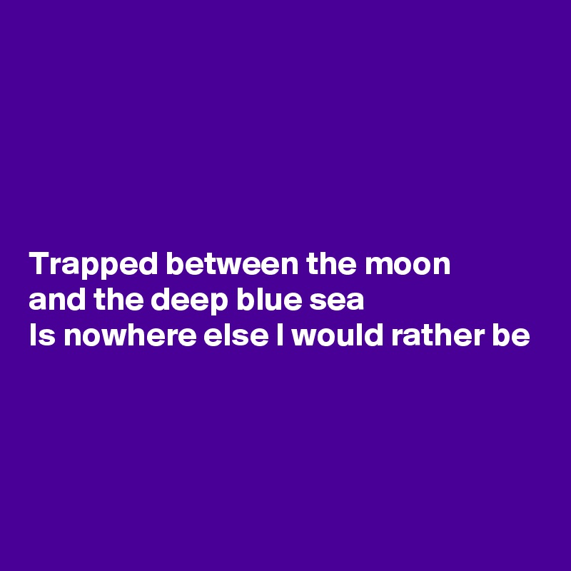 




Trapped between the moon
and the deep blue sea
Is nowhere else I would rather be




