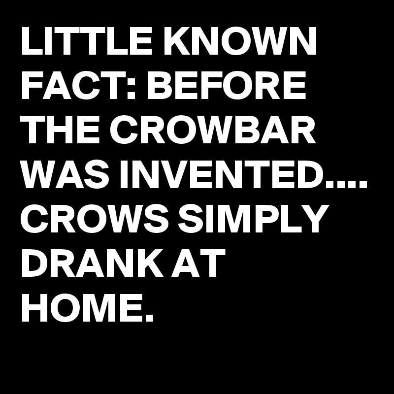 LITTLE KNOWN FACT: BEFORE THE CROWBAR WAS INVENTED....
CROWS SIMPLY DRANK AT HOME.