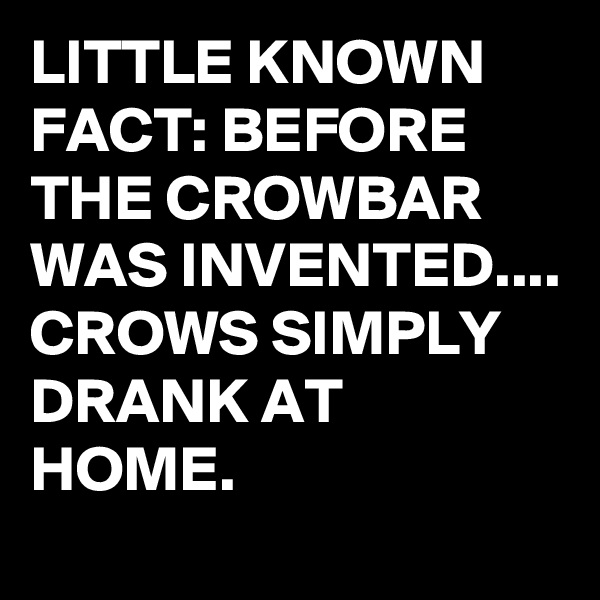 LITTLE KNOWN FACT: BEFORE THE CROWBAR WAS INVENTED....
CROWS SIMPLY DRANK AT HOME.