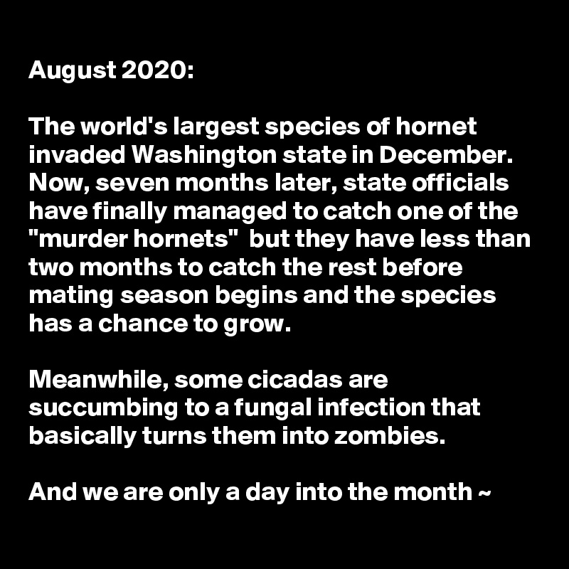 
August 2020:

The world's largest species of hornet invaded Washington state in December. Now, seven months later, state officials have finally managed to catch one of the "murder hornets"  but they have less than two months to catch the rest before mating season begins and the species has a chance to grow.

Meanwhile, some cicadas are succumbing to a fungal infection that basically turns them into zombies. 

And we are only a day into the month ~
