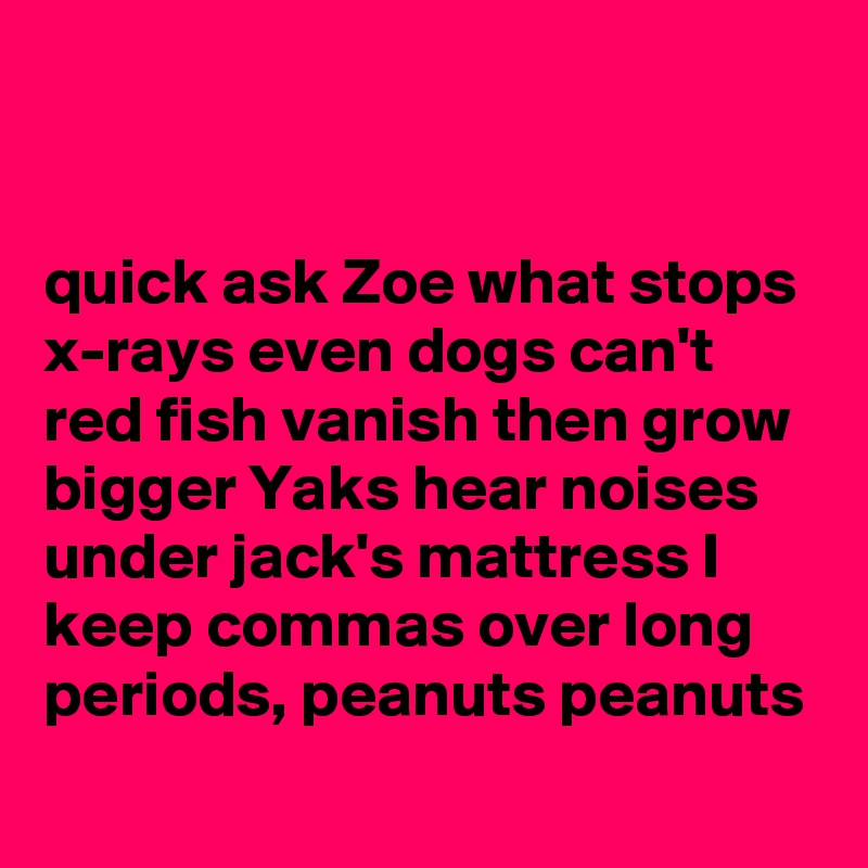 


quick ask Zoe what stops x-rays even dogs can't red fish vanish then grow bigger Yaks hear noises under jack's mattress I keep commas over long periods, peanuts peanuts
