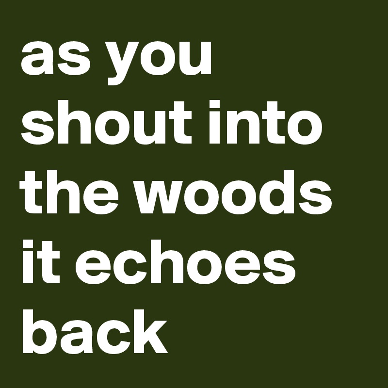 as you shout into the woods it echoes back