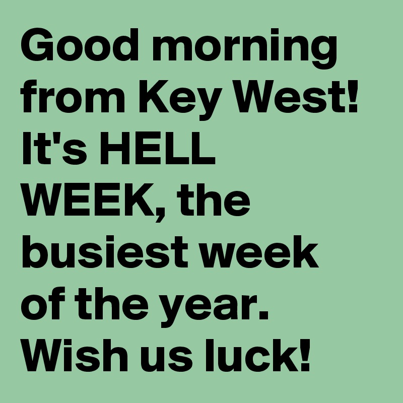 Good morning from Key West!
It's HELL WEEK, the busiest week of the year. Wish us luck!