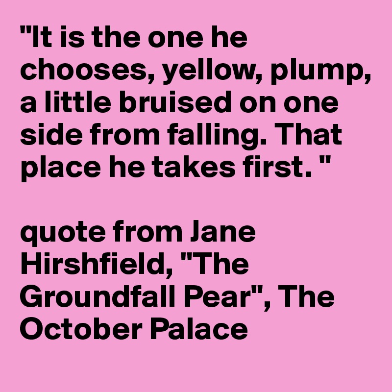 "It is the one he chooses, yellow, plump, a little bruised on one side from falling. That place he takes first. "

quote from Jane Hirshfield, "The Groundfall Pear", The October Palace