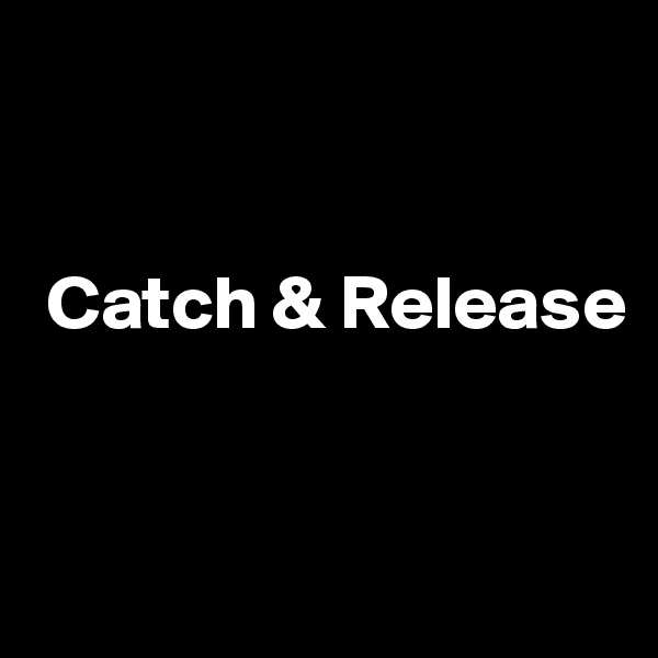 


 Catch & Release


