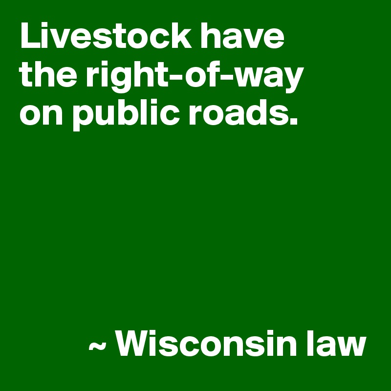 Livestock have
the right-of-way
on public roads.





         ~ Wisconsin law