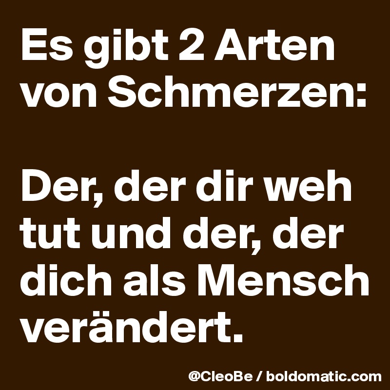 Es gibt 2 Arten von Schmerzen: 

Der, der dir weh tut und der, der dich als Mensch verändert.