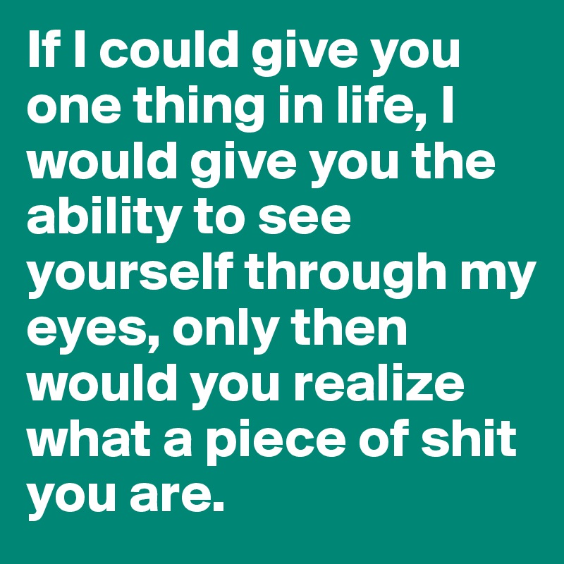 If I could give you one thing in life, I would give you the ability to see yourself through my eyes, only then would you realize what a piece of shit you are. 