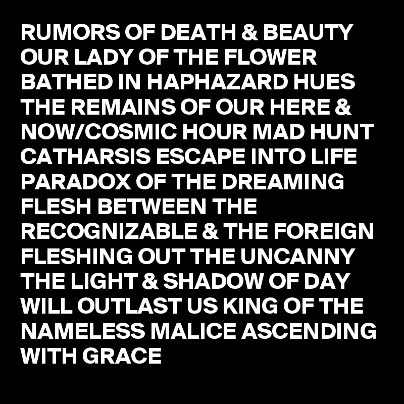 RUMORS OF DEATH & BEAUTY OUR LADY OF THE FLOWER BATHED IN HAPHAZARD HUES THE REMAINS OF OUR HERE & NOW/COSMIC HOUR MAD HUNT CATHARSIS ESCAPE INTO LIFE PARADOX OF THE DREAMING FLESH BETWEEN THE RECOGNIZABLE & THE FOREIGN FLESHING OUT THE UNCANNY THE LIGHT & SHADOW OF DAY WILL OUTLAST US KING OF THE NAMELESS MALICE ASCENDING WITH GRACE