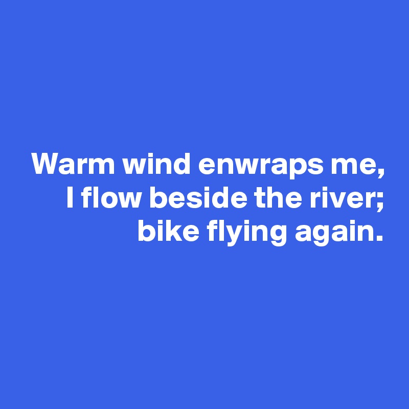 


Warm wind enwraps me,
I flow beside the river;
bike flying again.



