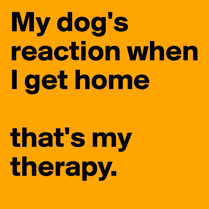 My dog's reaction when I get home

that's my therapy.