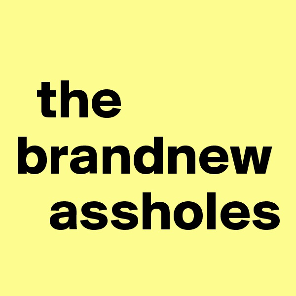 
  the brandnew   
   assholes