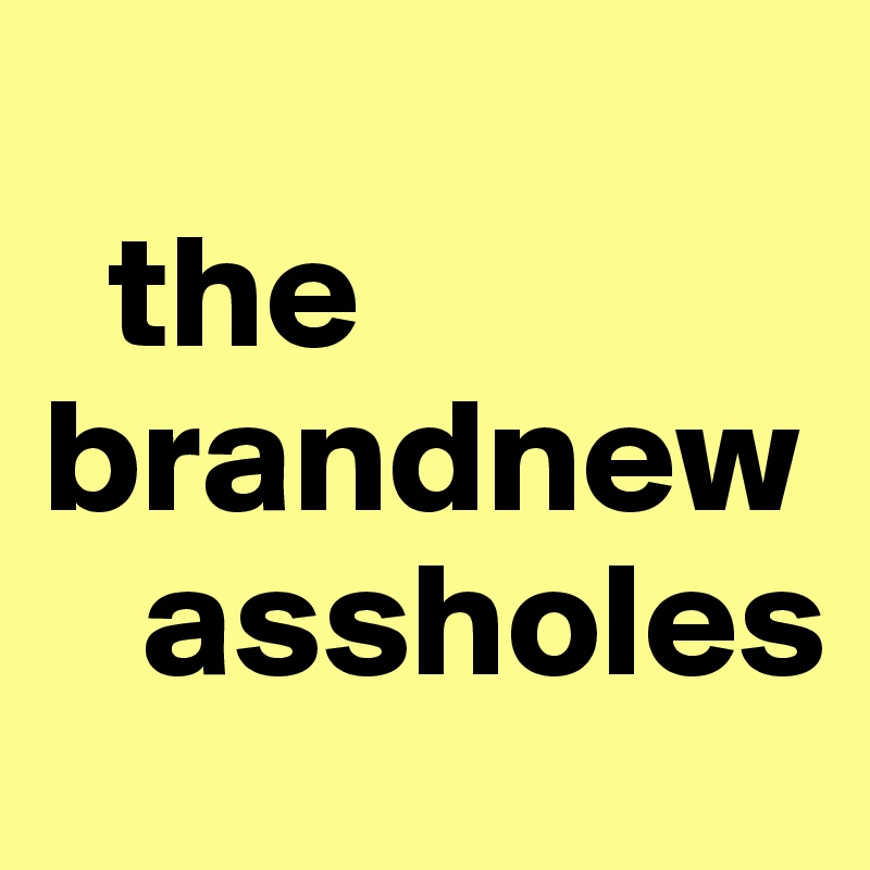
  the brandnew   
   assholes