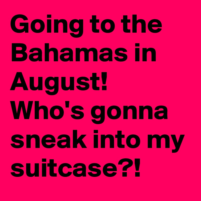 Going to the Bahamas in August! Who's gonna sneak into my suitcase?!