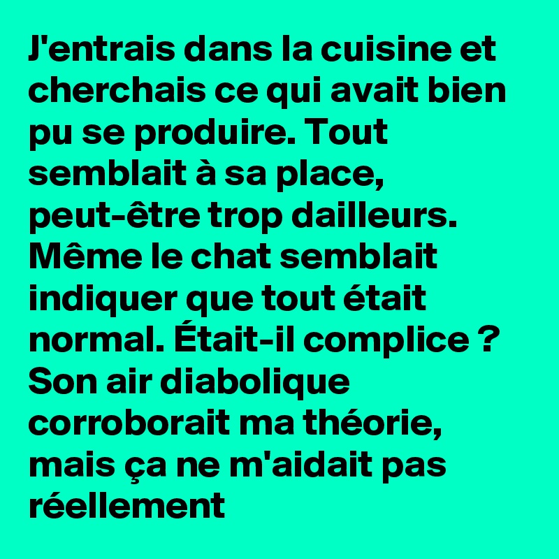 J'entrais dans la cuisine et cherchais ce qui avait bien pu se produire. Tout semblait à sa place, peut-être trop dailleurs. Même le chat semblait indiquer que tout était normal. Était-il complice ? Son air diabolique corroborait ma théorie, mais ça ne m'aidait pas réellement