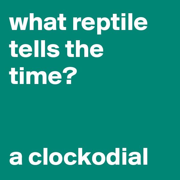 what reptile tells the time?


a clockodial