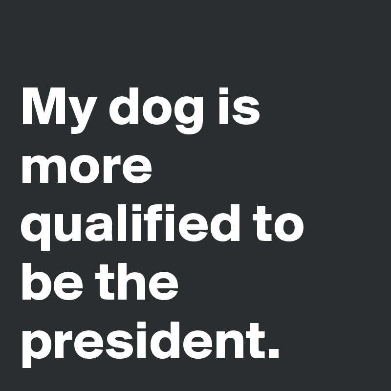 
My dog is more qualified to be the president. 