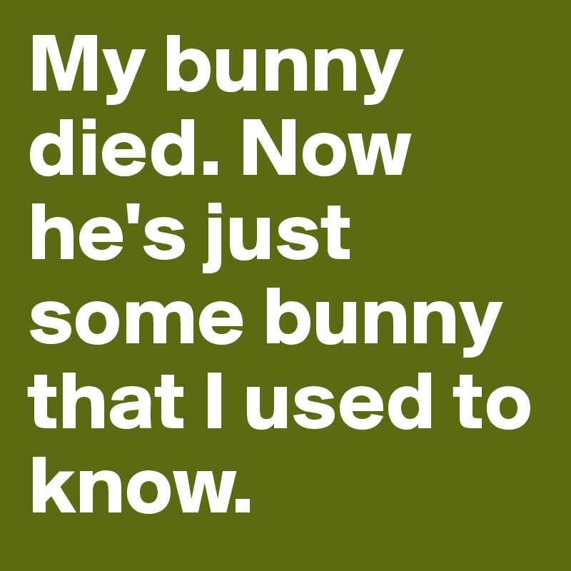 My bunny died. Now he's just some bunny that I used to know.