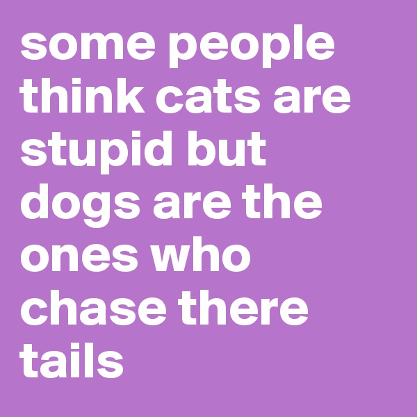 some people think cats are stupid but dogs are the ones who chase there tails