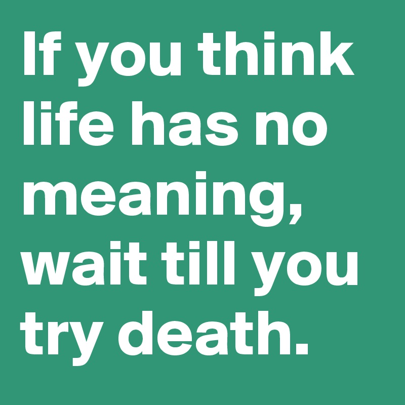 If you think life has no meaning, wait till you try death.