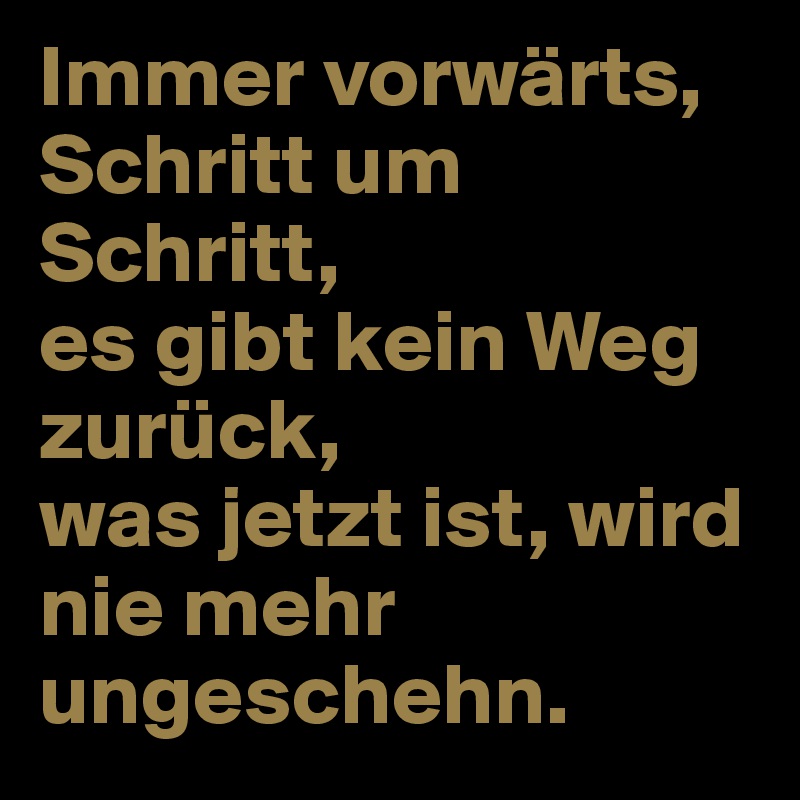 Immer vorwärts, Schritt um Schritt,
es gibt kein Weg zurück,
was jetzt ist, wird nie mehr ungeschehn.