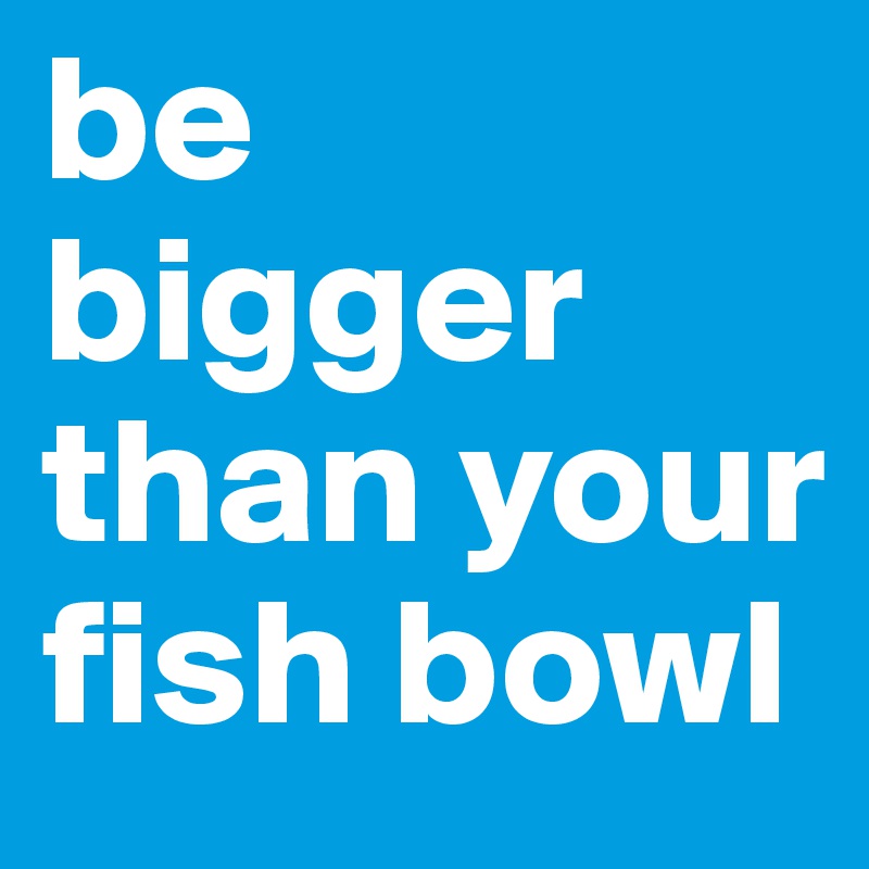 be bigger than your fish bowl