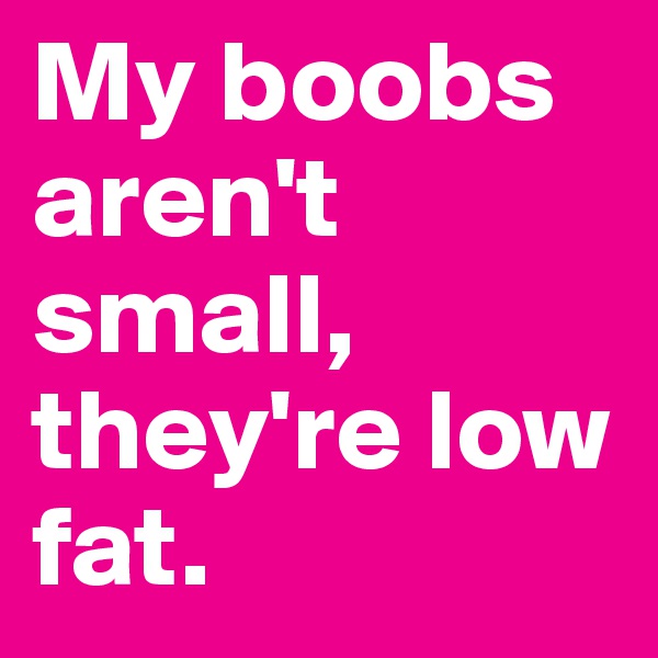 My boobs aren't small, they're low fat.