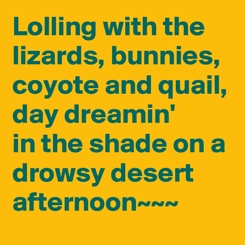 Lolling with the lizards, bunnies, coyote and quail, day dreamin'
in the shade on a drowsy desert afternoon~~~