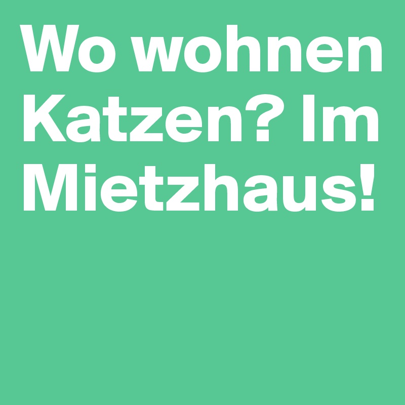 Wo wohnen Katzen? Im Mietzhaus!
 
