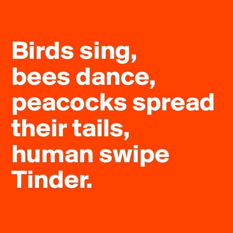 
Birds sing, 
bees dance, peacocks spread their tails, 
human swipe Tinder.
