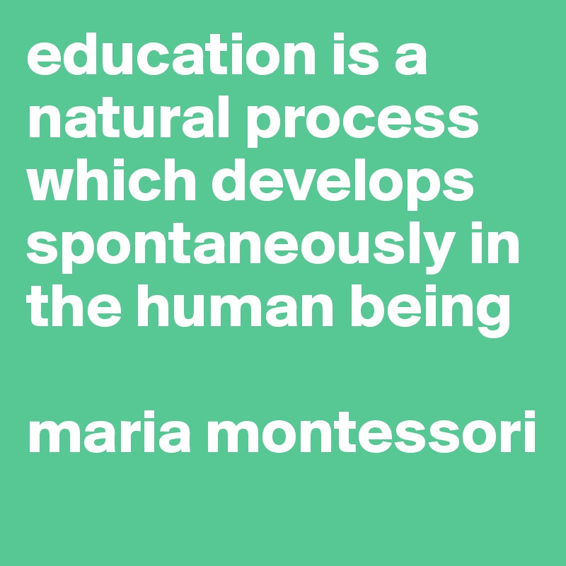 education is a natural process which develops spontaneously in the human being

maria montessori