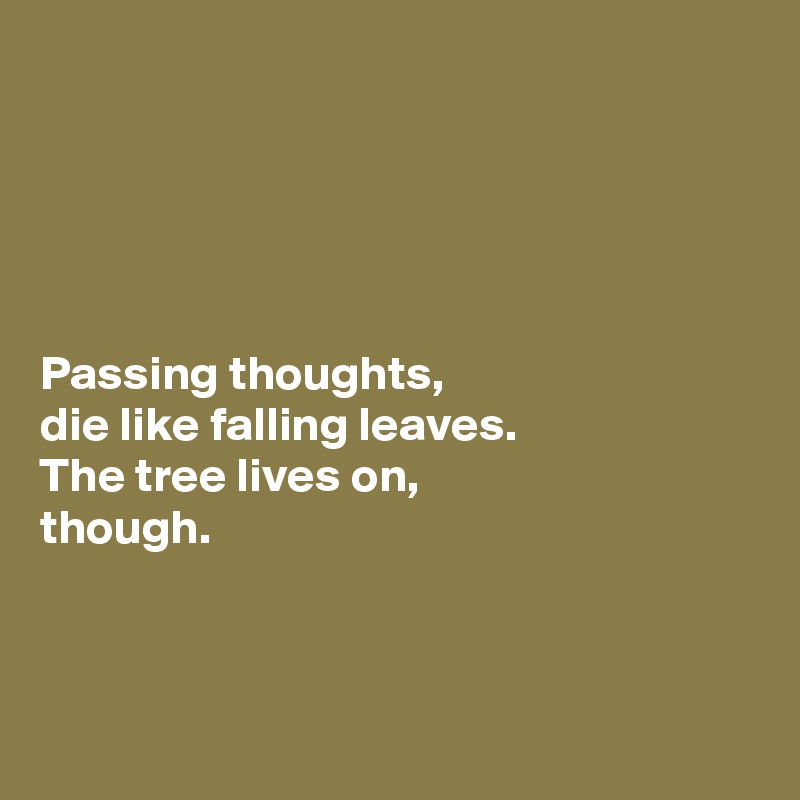 





Passing thoughts, 
die like falling leaves. 
The tree lives on, 
though. 



