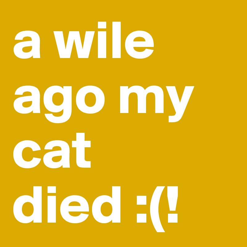 a wile ago my cat died :(! 