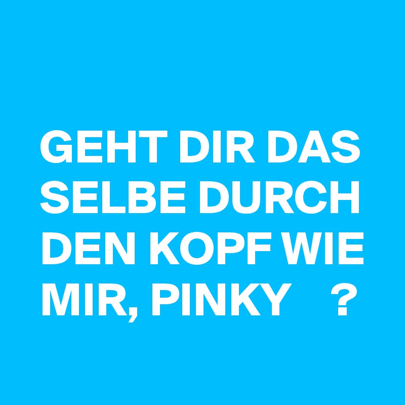 

  GEHT DIR DAS 
  SELBE DURCH 
  DEN KOPF WIE 
  MIR, PINKY    ? 
