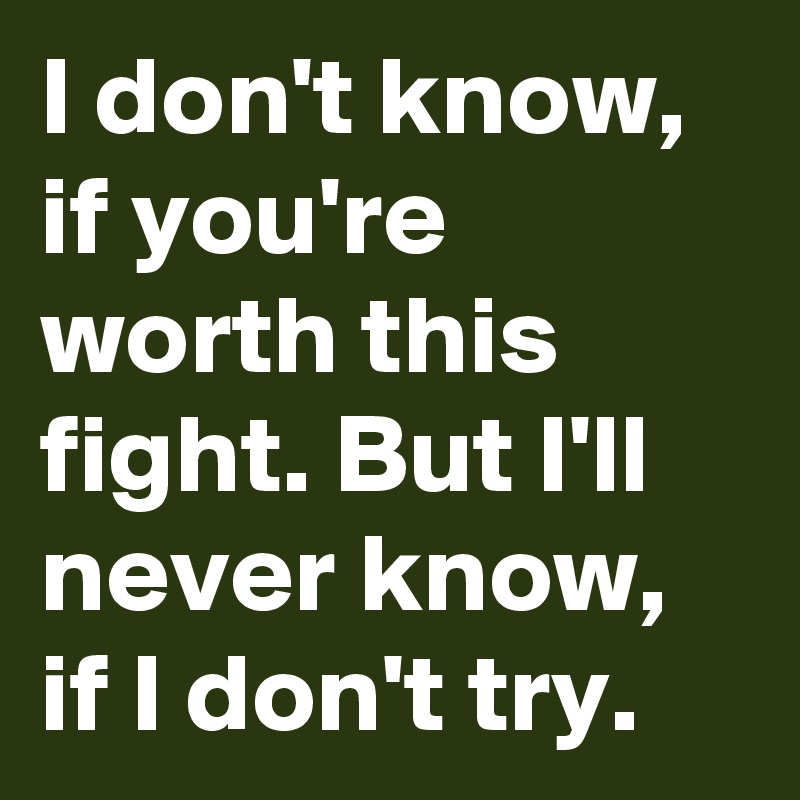 I don't know, if you're worth this fight. But I'll never know, if I don't try.
