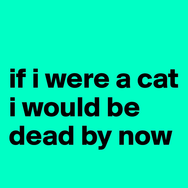 

if i were a cat i would be dead by now