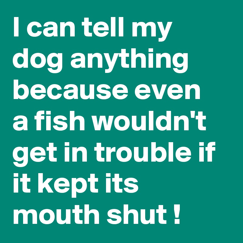 I can tell my dog anything because even a fish wouldn't get in trouble if it kept its  mouth shut !