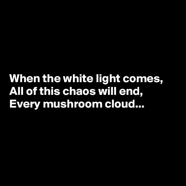 




When the white light comes, 
All of this chaos will end,
Every mushroom cloud...




