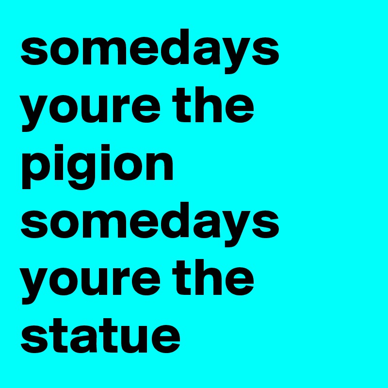 somedays youre the pigion somedays youre the statue 