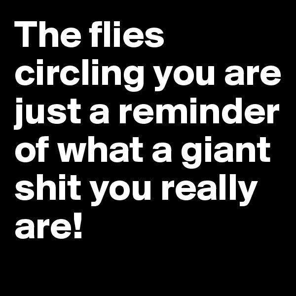 The flies circling you are just a reminder of what a giant shit you really are!