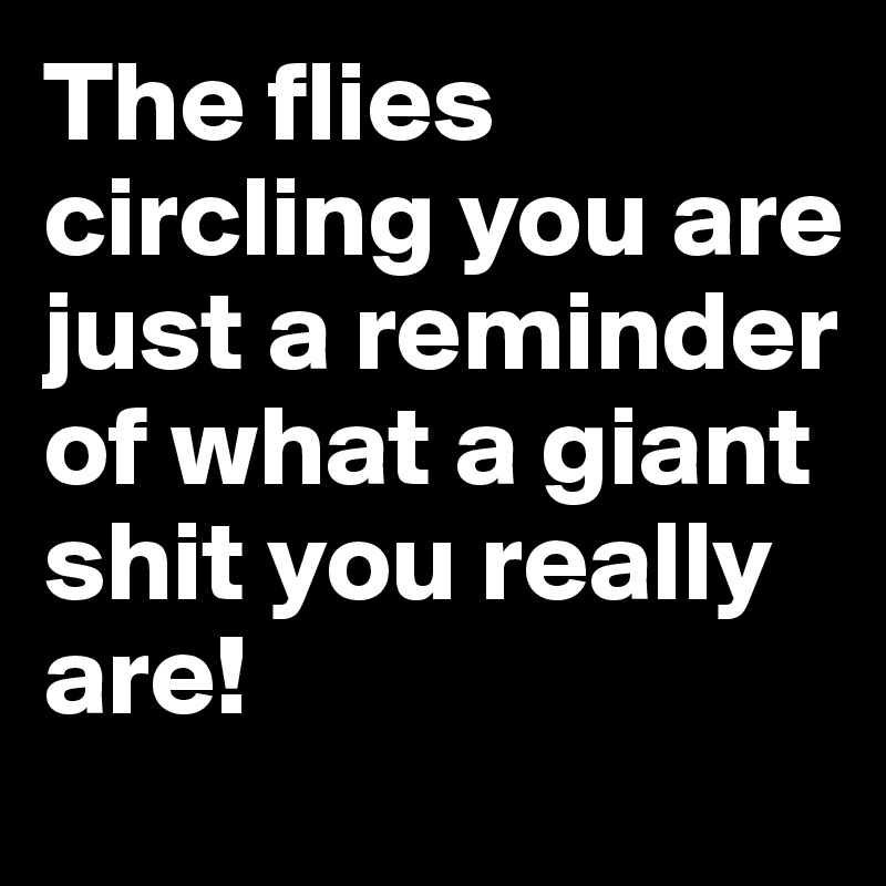 The flies circling you are just a reminder of what a giant shit you really are!