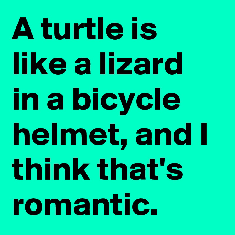 A turtle is like a lizard in a bicycle helmet, and I think that's romantic.