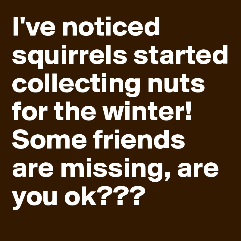 I've noticed squirrels started collecting nuts for the winter! Some friends are missing, are you ok???