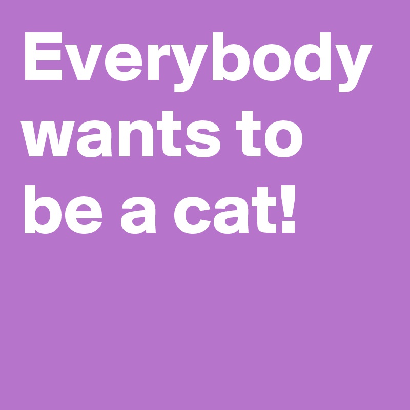 Everybody wants to be a cat!