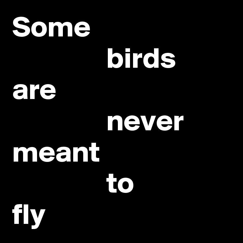 Some
                birds
are
                never
meant
                to
fly